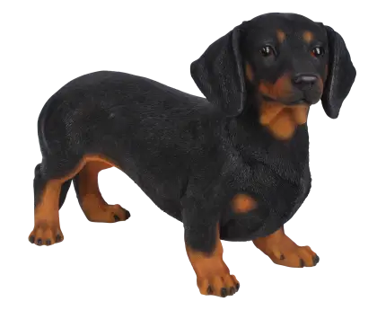 Adorable Dachshund Dog Toy