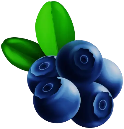 Vibrant Blueberries with Green Leaves