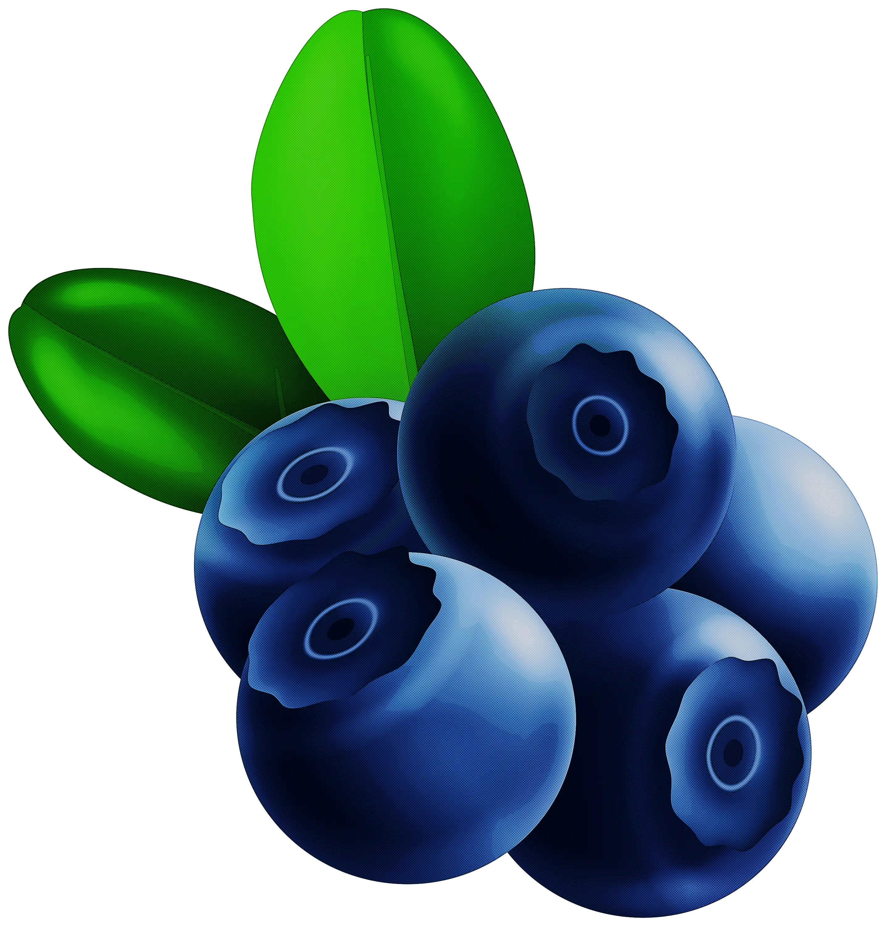 Vibrant Blueberries with Green Leaves