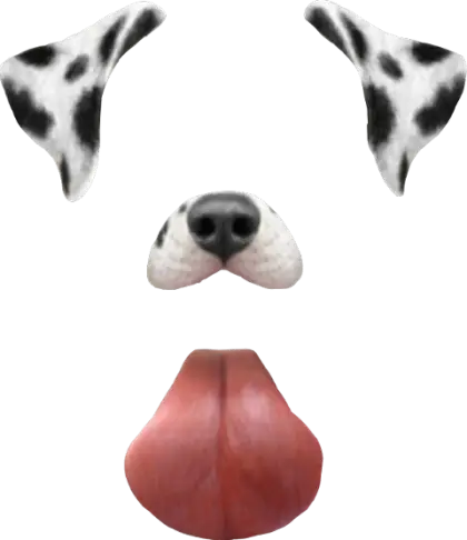 Dalmatian Dog Face Graphic Design