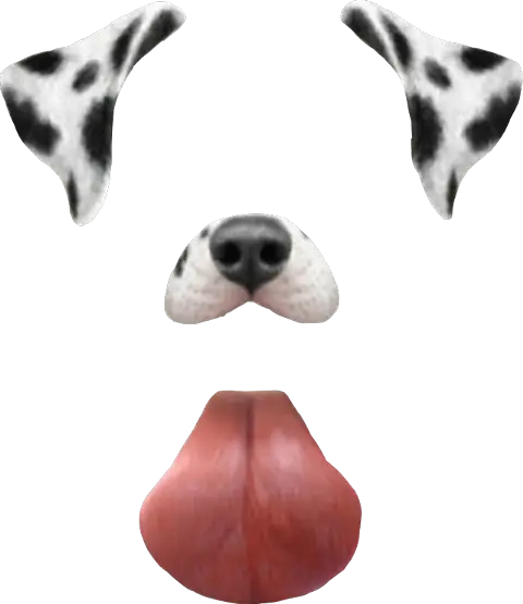 Dalmatian Dog Face Graphic Design