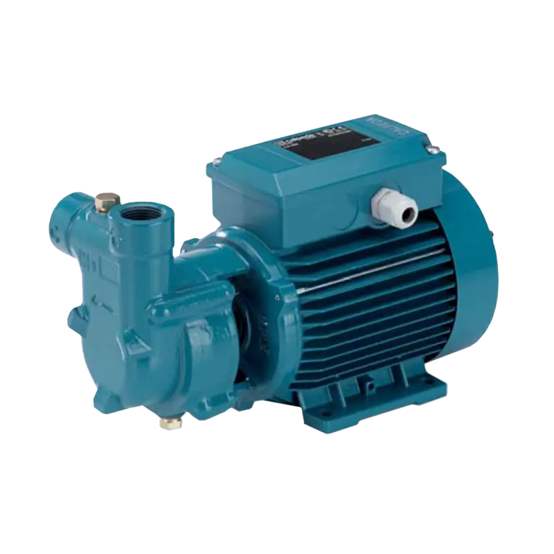 Blue Electric Water Pump