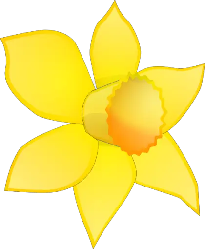 Yellow Daffodil Flower