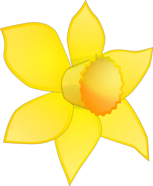 Yellow Daffodil Flower