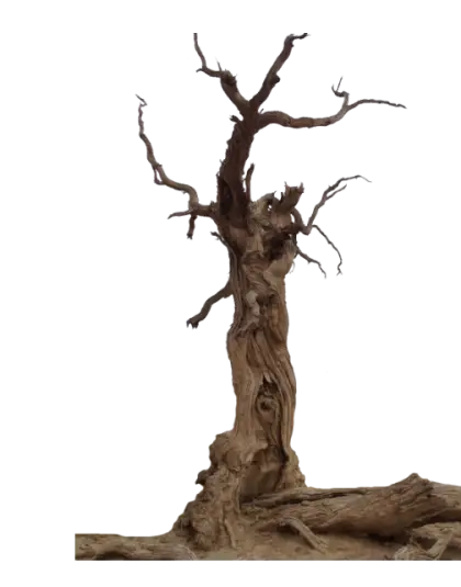 Dry Tree with Twisted Branch Design