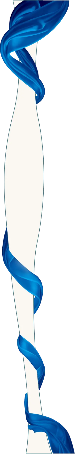 Blue Decorative Ribbon