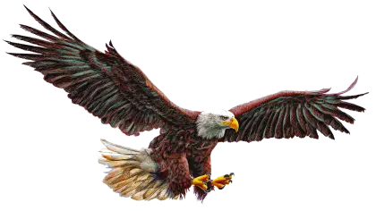 Majestic Bald Eagle in Flight