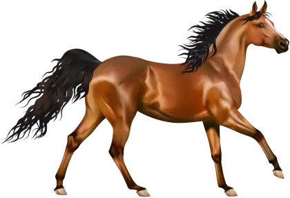 Brown Horse in Motion