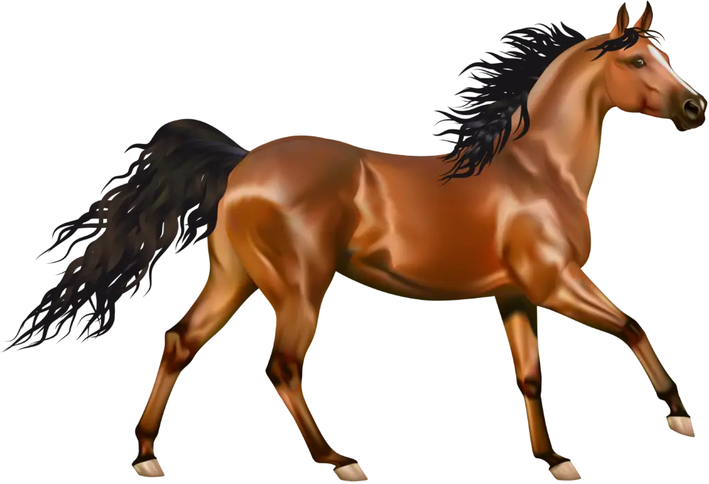 Brown Horse in Motion
