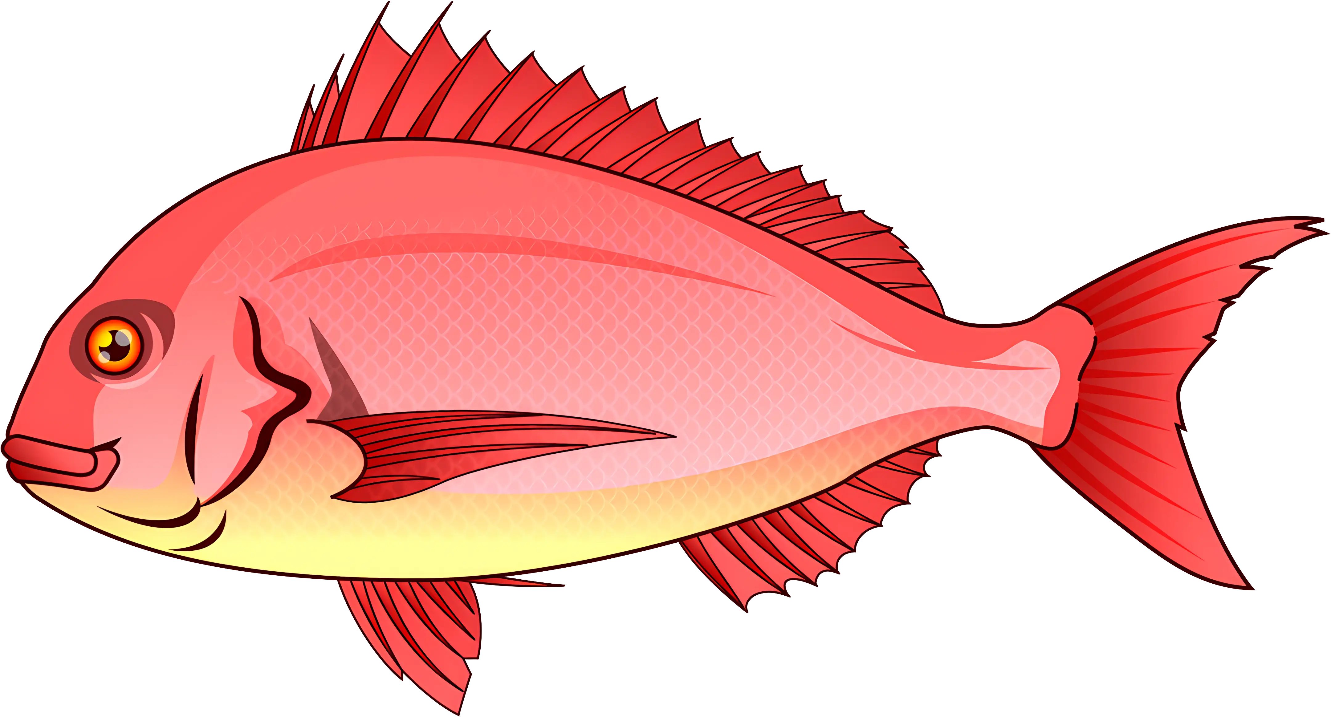 Red Fish Illustration of Marine Life