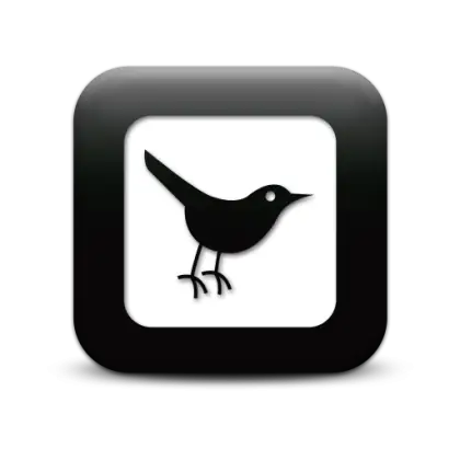 Bird Icon in Black and White Square Design