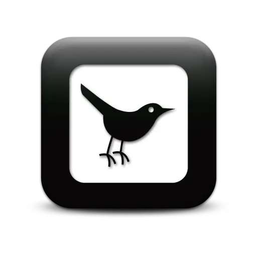 Bird Icon in Black and White Square Design