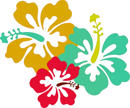 Colorful Hibiscus Flowers Illustration