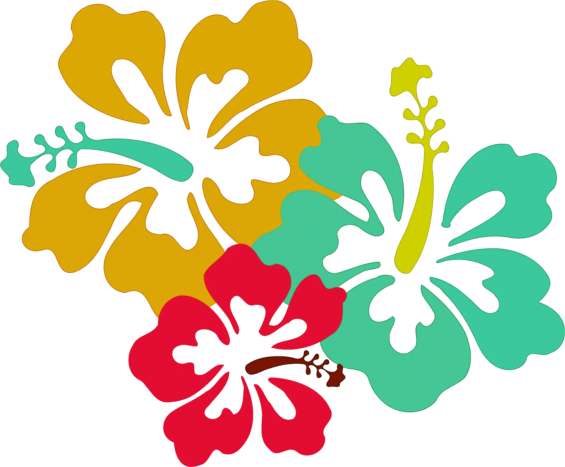 Colorful Hibiscus Flowers Illustration