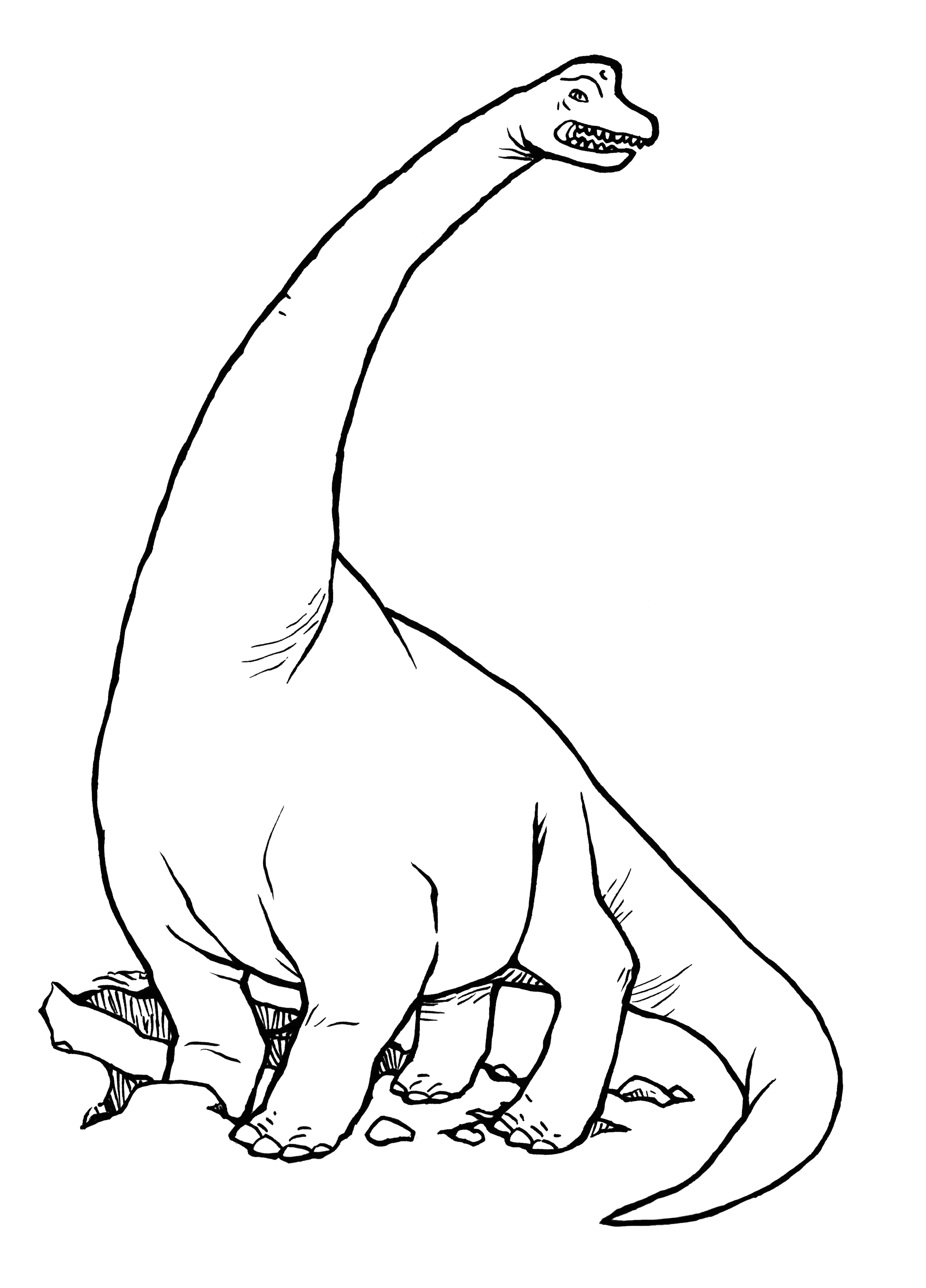 Long Neck Dinosaur Drawing