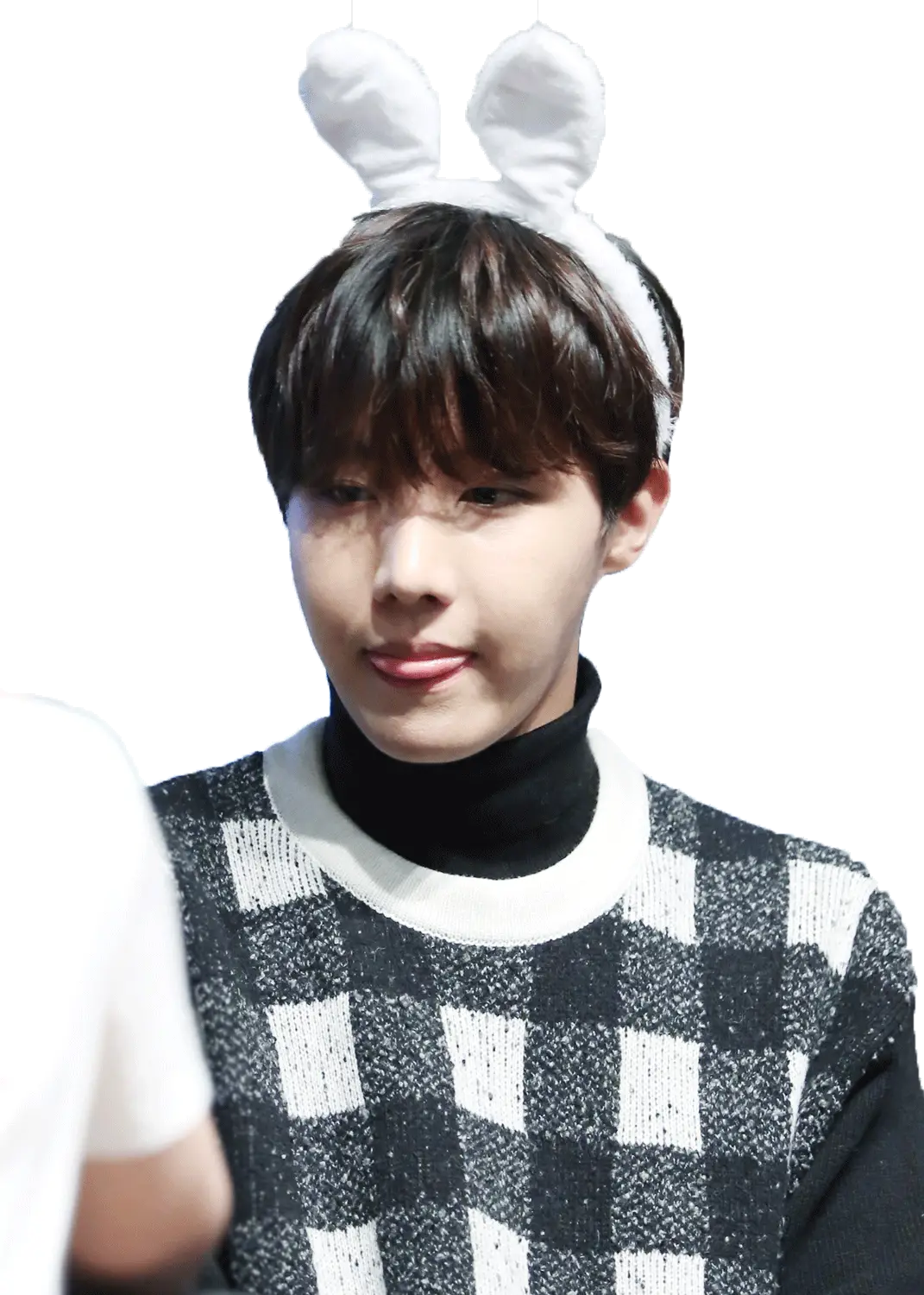 Person Wearing Bunny Ears Headband