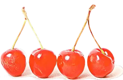 Fresh Red Cherries with Stems