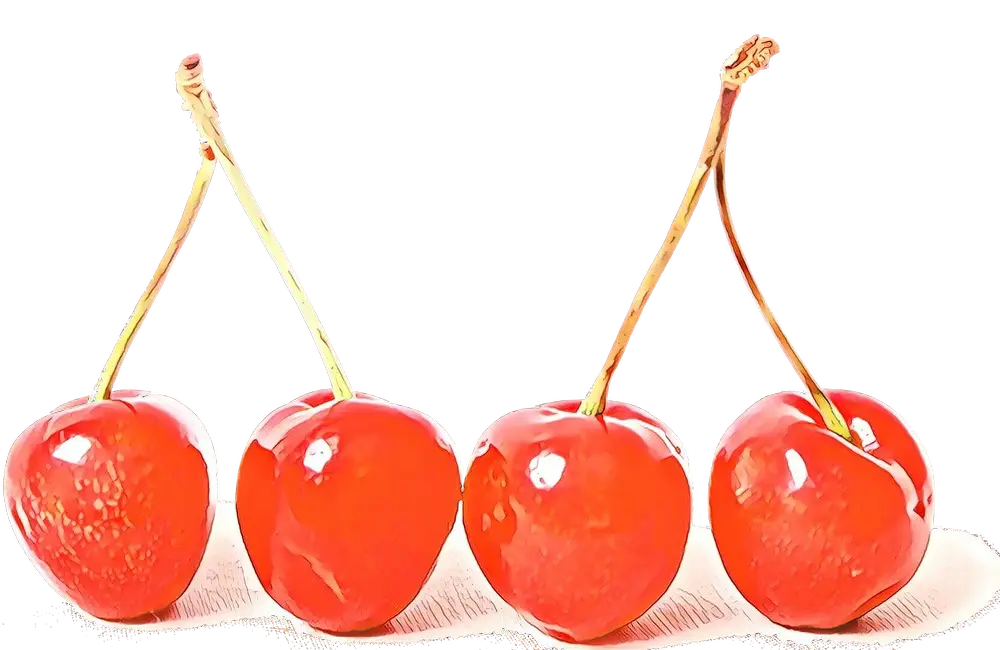 Fresh Red Cherries with Stems