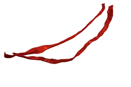 Red Ribbon Decoration