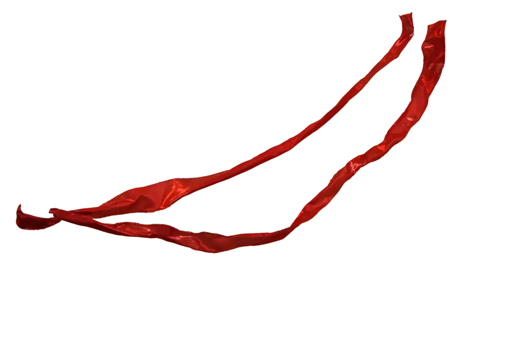 Red Ribbon Decoration