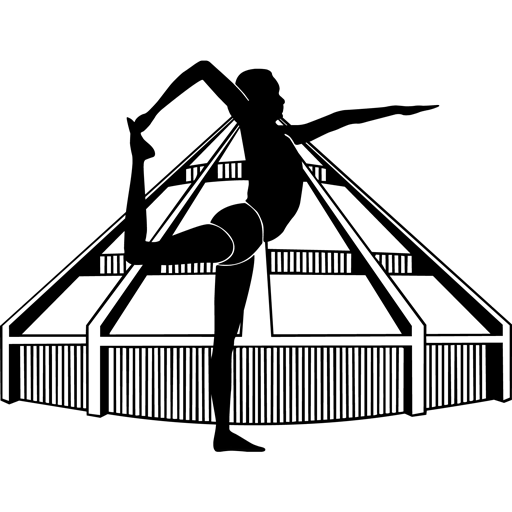 Silhouette of Yoga Pose