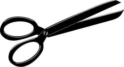 Black Scissors for Cutting Tasks