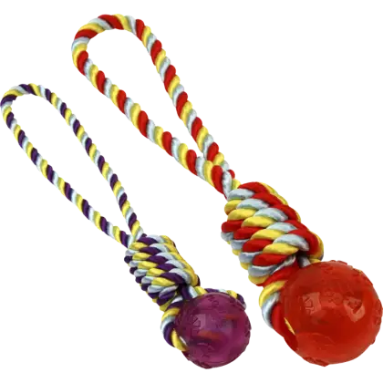 Colorful Rope Toys for Pets