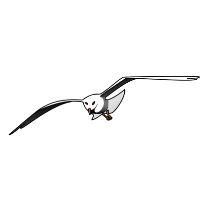 Flying Seagull Illustration