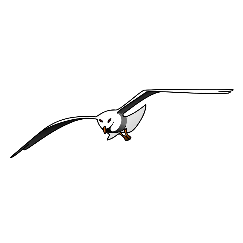 Flying Seagull Illustration