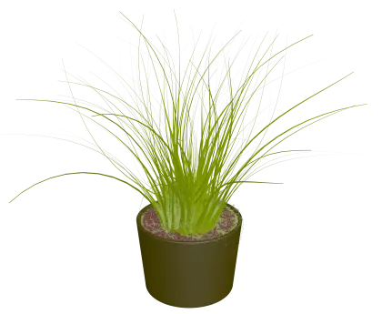 Green Potted Plant