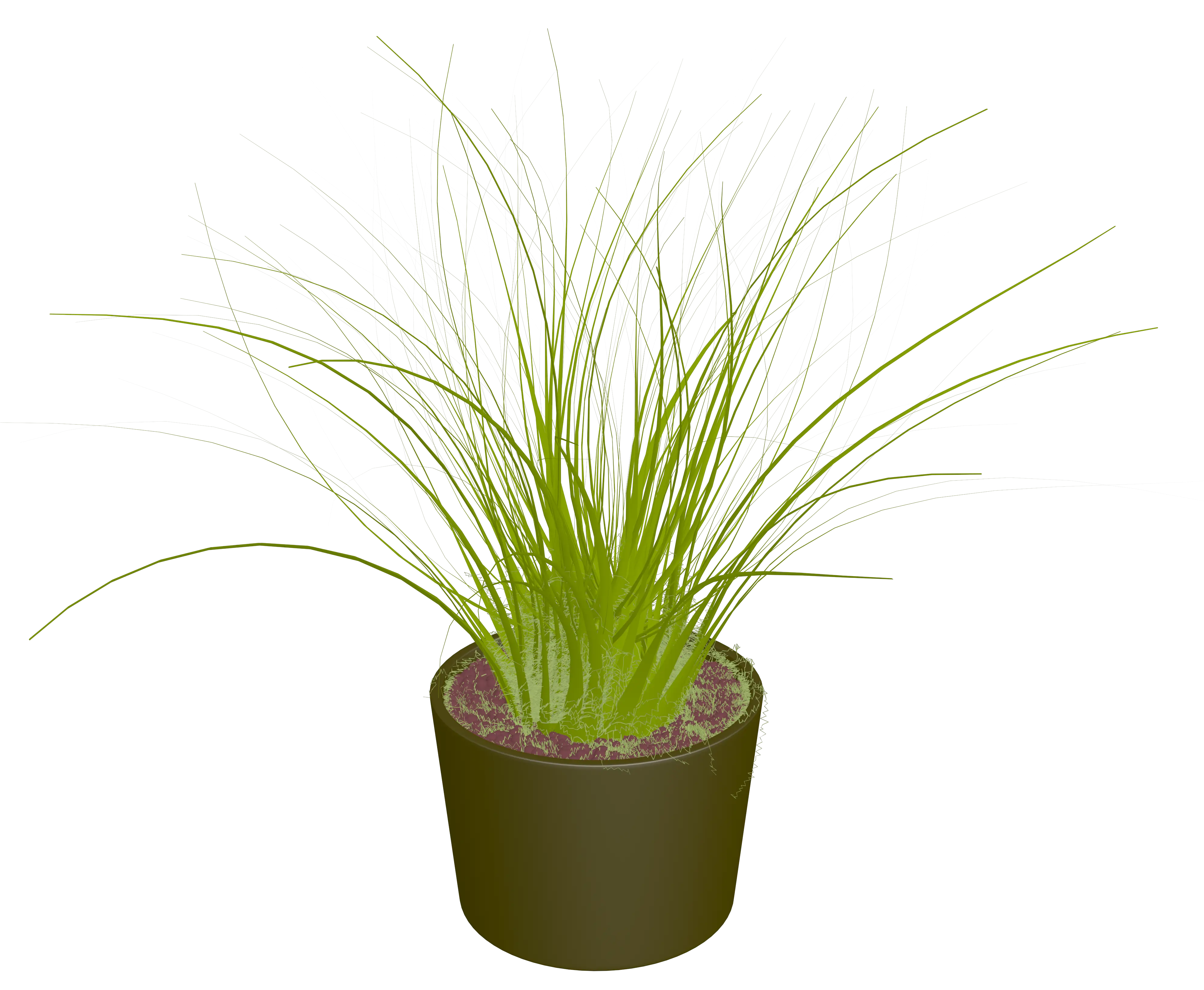 Green Potted Plant
