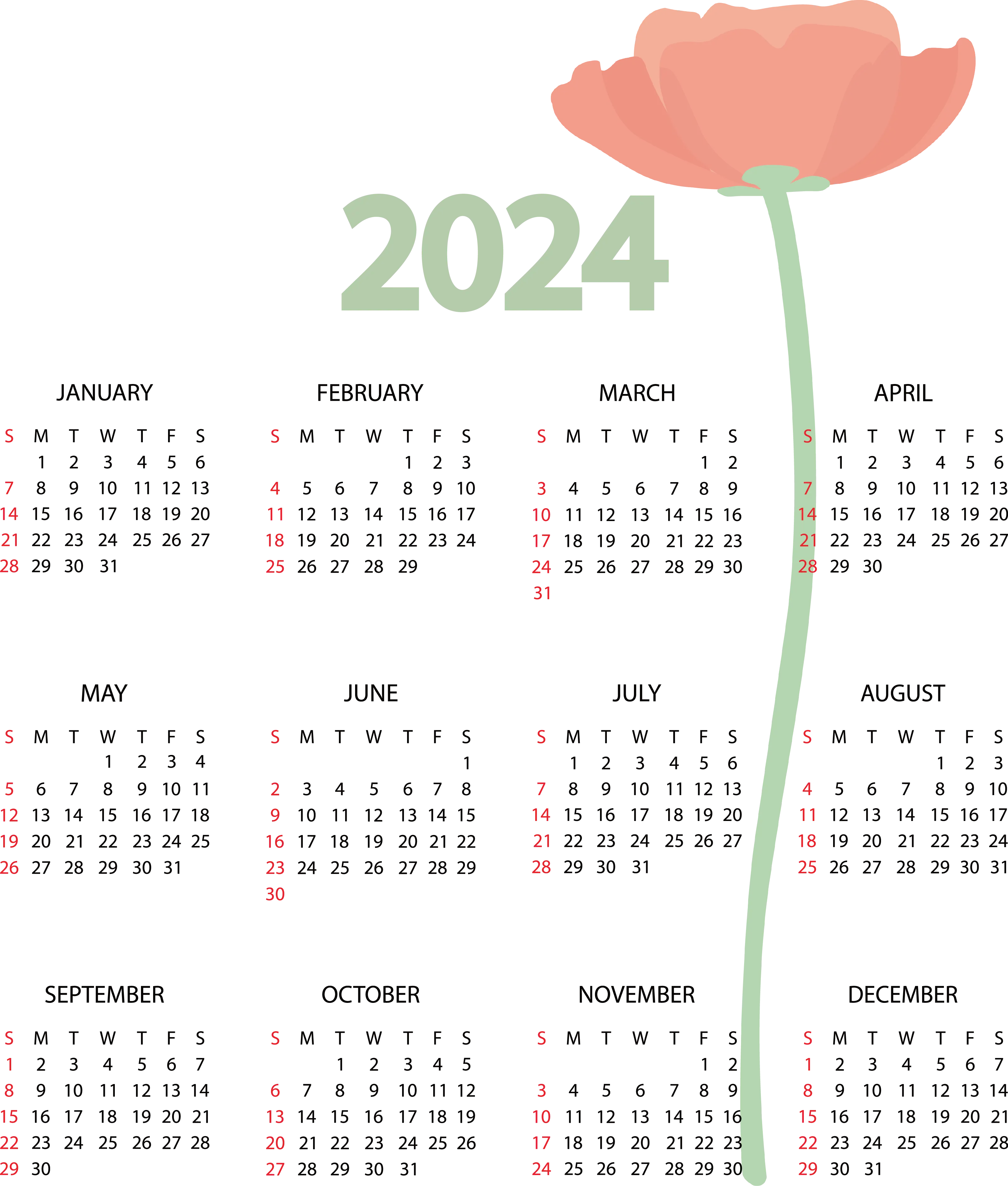 2024 Minimalist Calendar with Elegant Floral Design