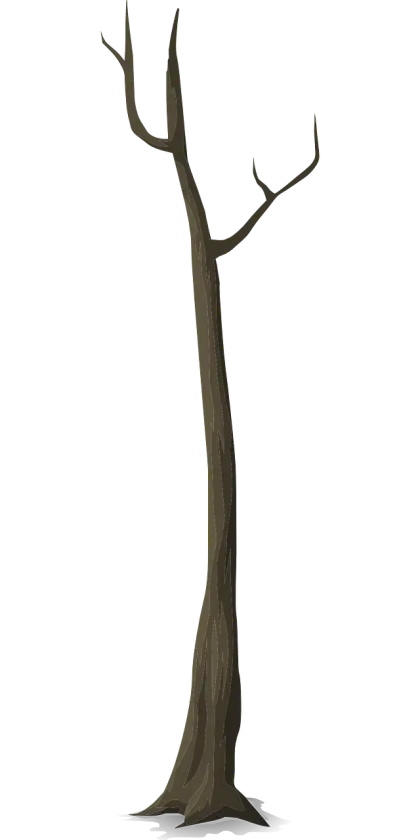 Bare Tree Trunk Illustration