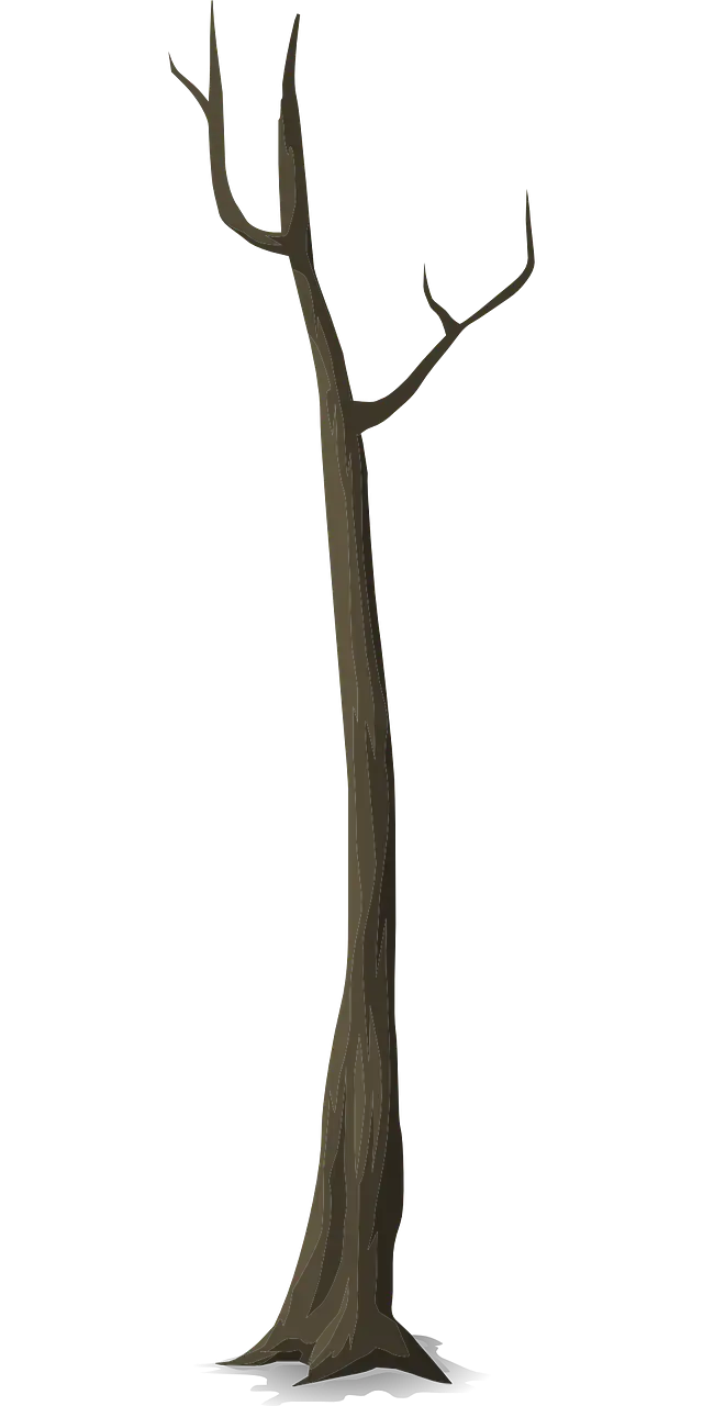 Bare Tree Trunk Illustration