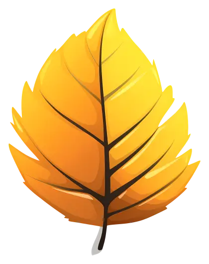 Bright Yellow Autumn Leaf Illustration