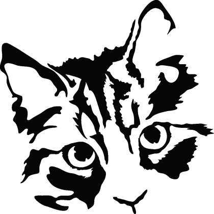 Black and White Cat Illustration Artwork