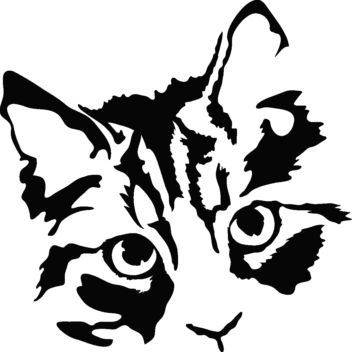 Black and White Cat Illustration Artwork