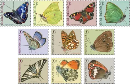 Colorful Butterfly Stamps Collection