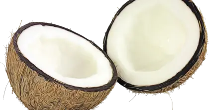 Halved Coconut