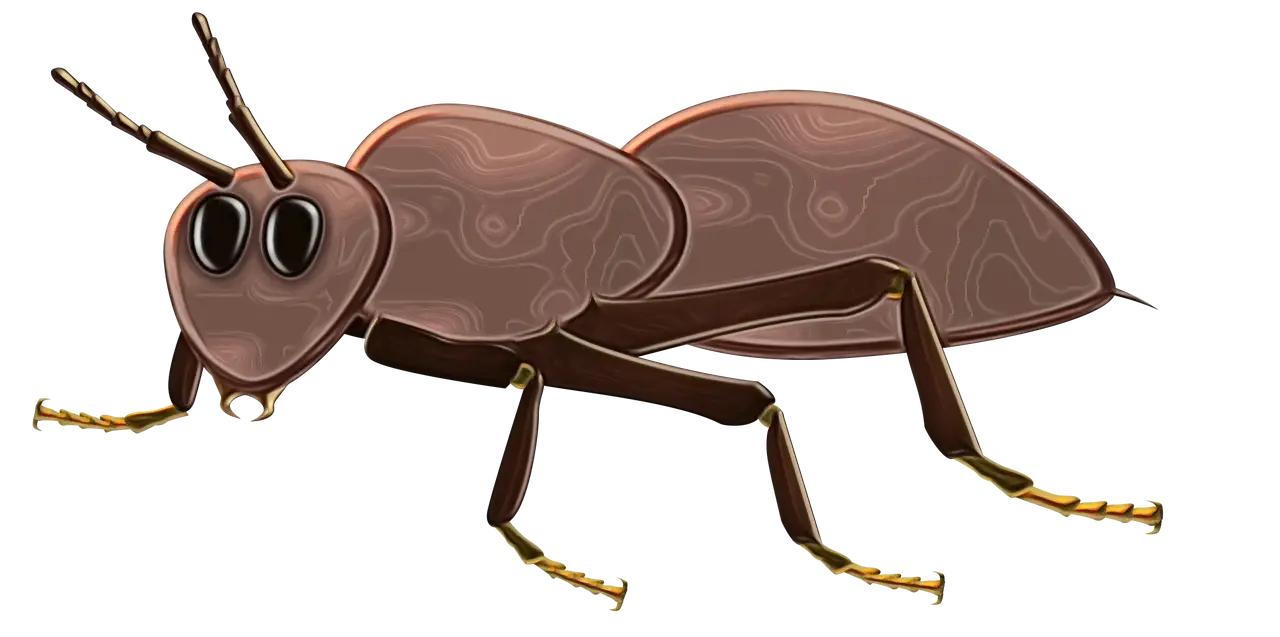 Illustrative Brown Ant in Detailed Design