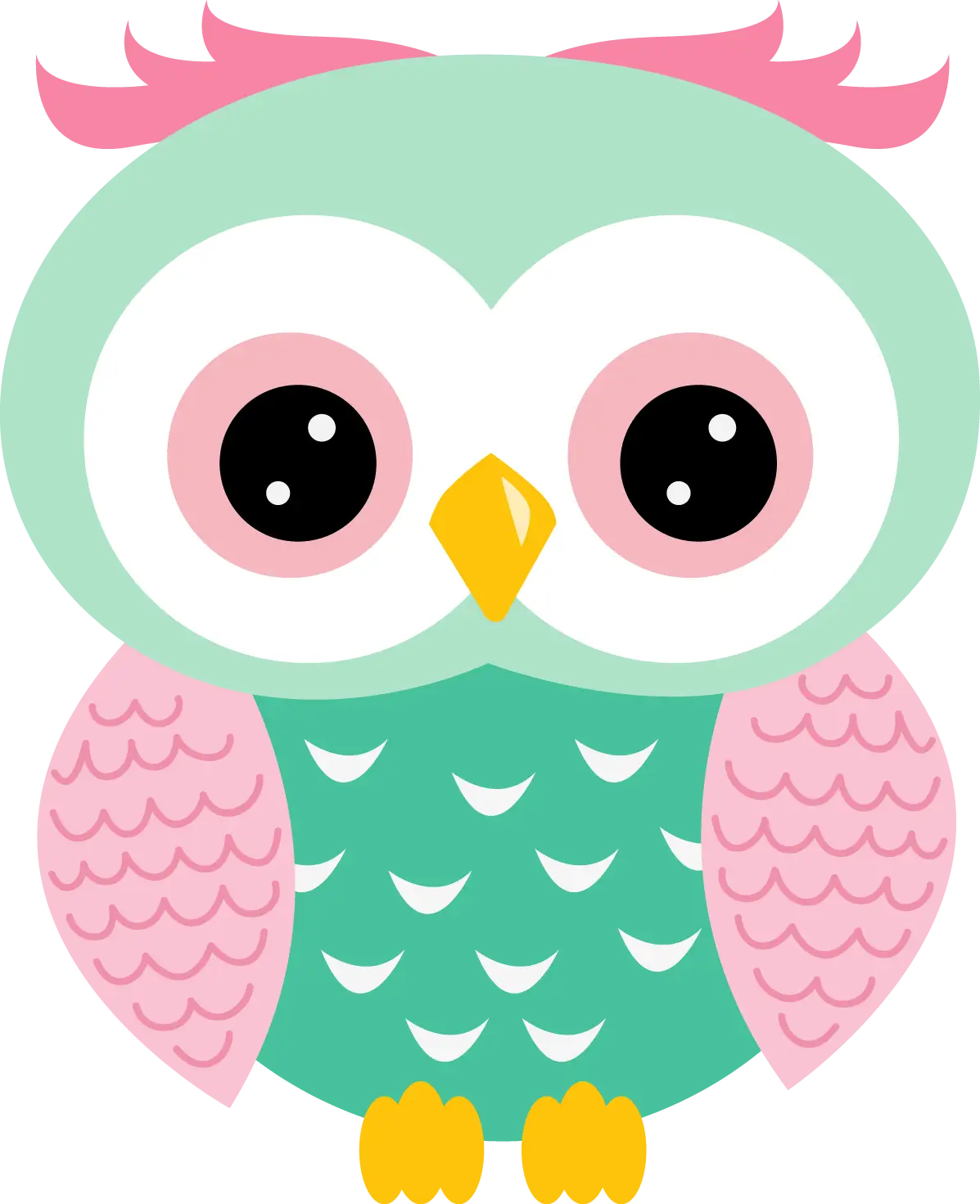 Colorful and Cute Owl Cartoon