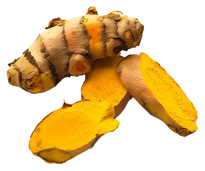 Turmeric Root and Slices