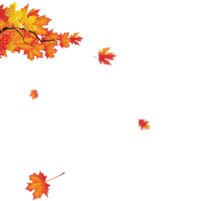 Autumn Leaves Falling from a Branch