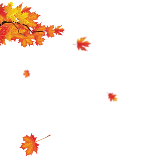 Autumn Leaves Falling from a Branch