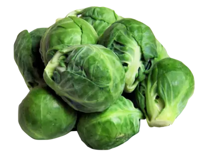 Fresh Brussels Sprouts