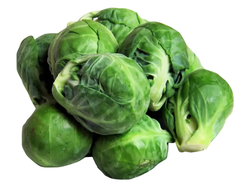 Fresh Brussels Sprouts