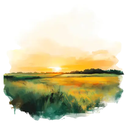 Sunset over Green Field