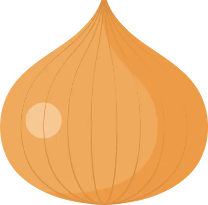 Orange Onion Illustration