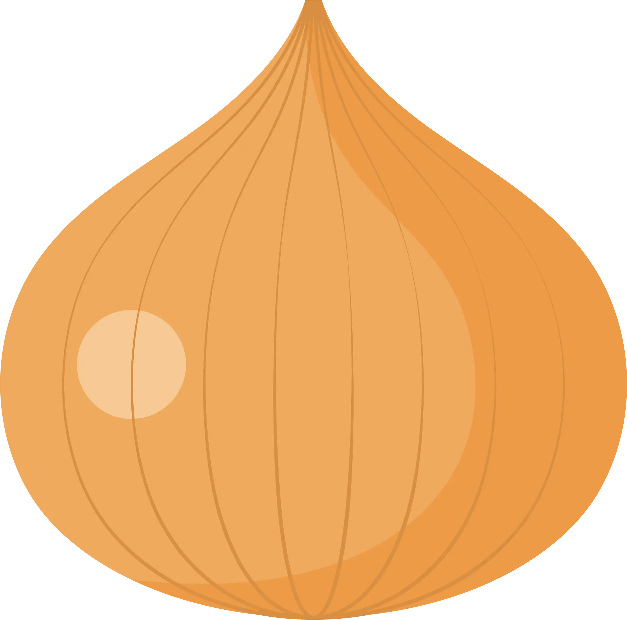 Orange Onion Illustration