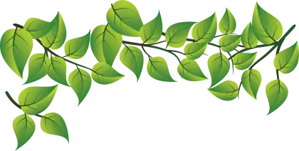 Green Leafy Branch Illustration